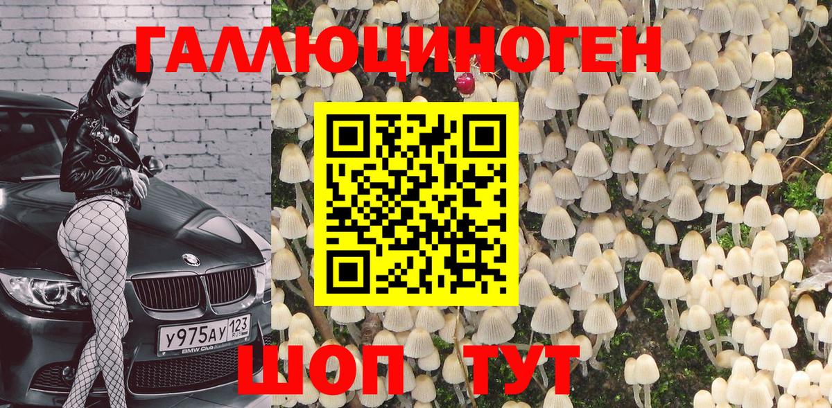 Псилоцибиновые грибы Magic Shrooms  наркотики  Ленинск-Кузнецкий  Вход с VPN 
