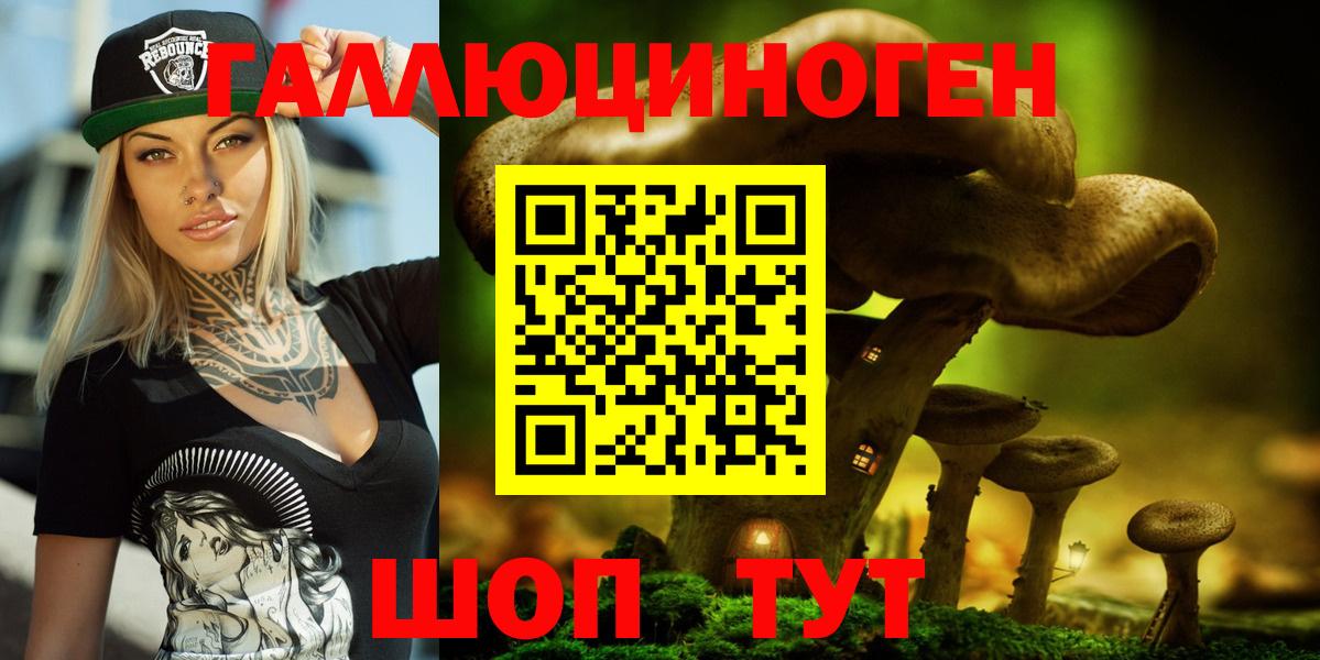 Псилоцибиновые грибы GOLDEN TEACHER Ленинск-Кузнецкий